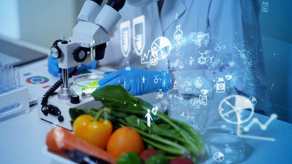 Phân tích dinh dưỡng để ghi nhãn: protein, lipid, carbohydrate, năng lượng — minh họa