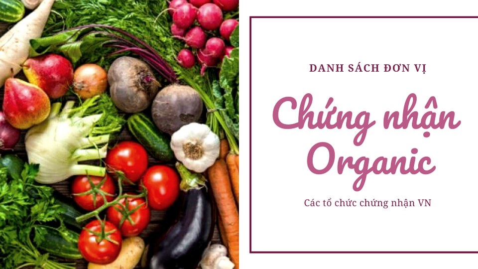 VietGAP, Organic, Halal: chứng nhận nào phù hợp doanh nghiệp của bạn? — minh họa